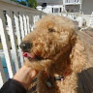 Meet your Posher, Shiori